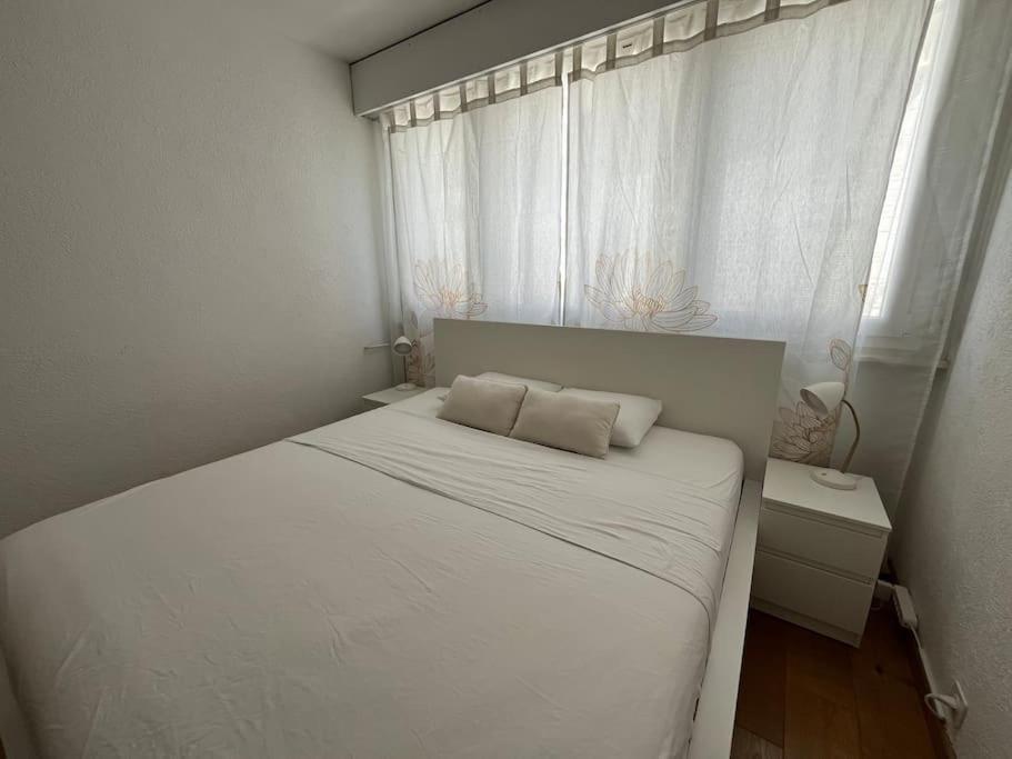 85m2 Au Centre-ville A 2 Pas Du Jet D'eau Appartamento Ginevra